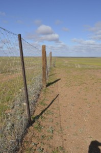 CooberPedy_DogFence