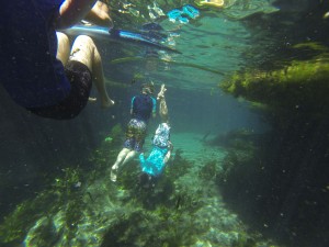 Synchronised swimming - Bitter Springs