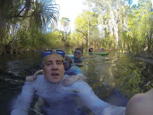 Bitter Springs conga line