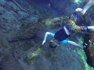 Exploring Bitter Springs