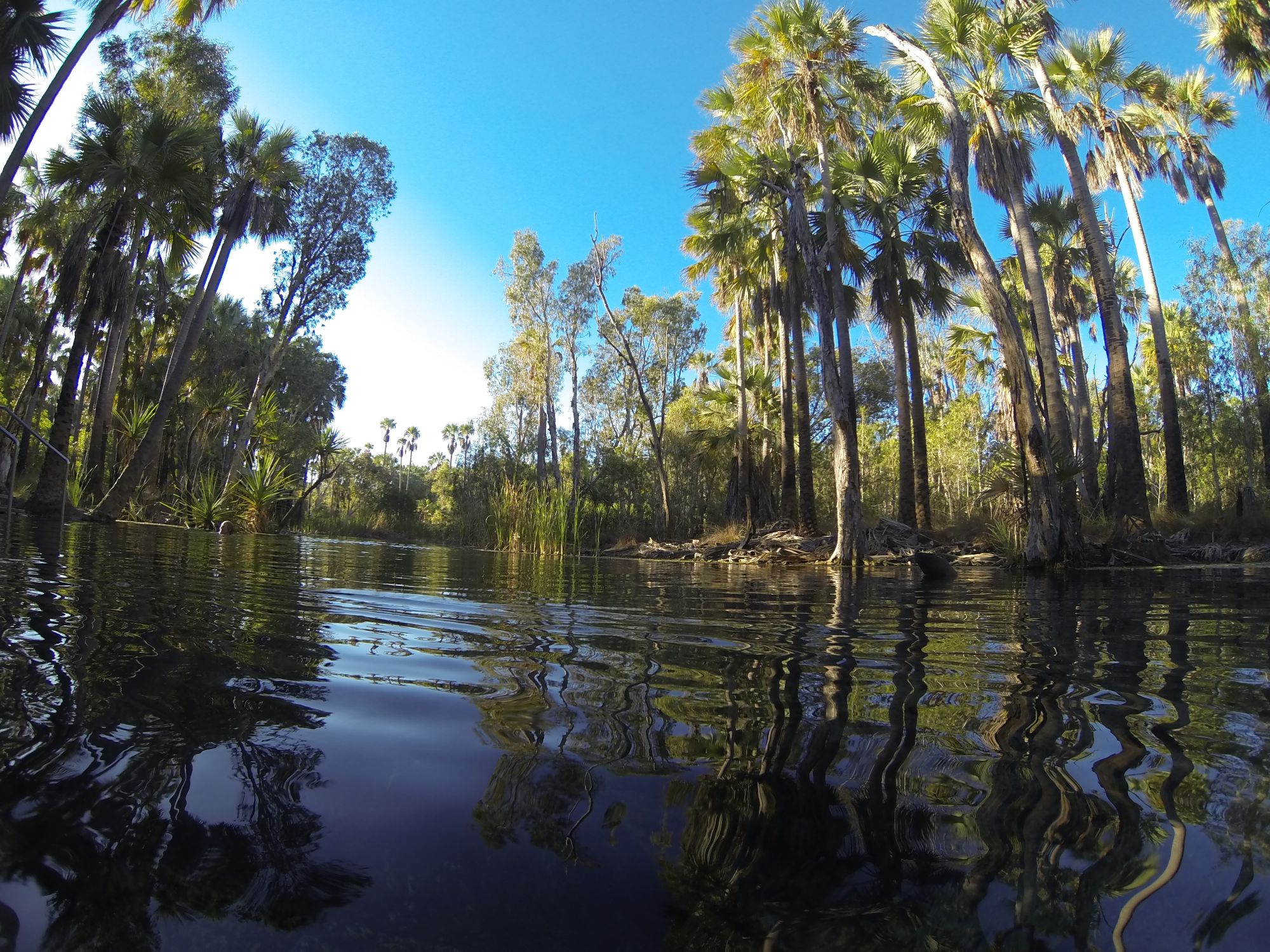 Bitter Springs evening
