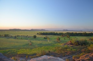 Kakadu2_19